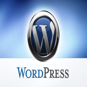 Wordpress Installation